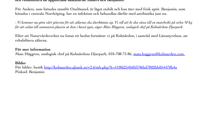 Beslut om sälkutarna Anders och Benjamin på Kolmården