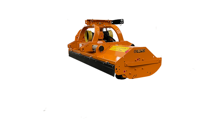 bimax lato 2