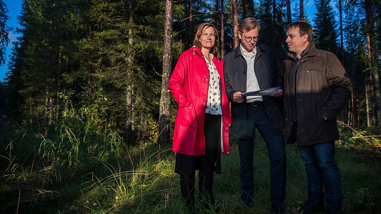 Kommunchefen Kristina Sundin Jonsson, närings- och innovationsminister Mikael Damberg och kommunalrådet Lorents Burman (S), mitt i skogen på den plats som Skellefteå erbjuder som etableringsmöjlighet för Northvolts batterifabrik.