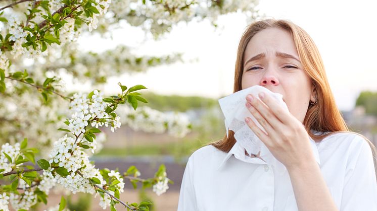 Ist das noch Erkältung oder schon Allergie? Eine Frage, die sich in jedem Frühjahr mit dem Beginn der Pollenflugsaison erneut stellt. / Bild: iStock 1088395848