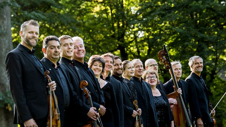 Musica Vitae