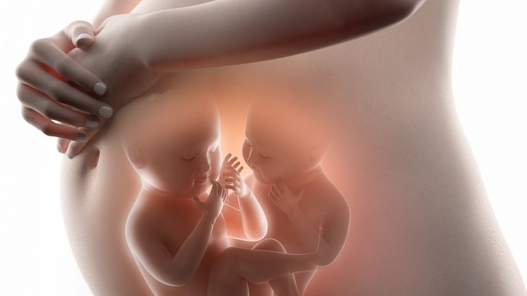 Abort på ett eller flere friske fostre blir lovlig. Illustrasjonsfoto: iStock 