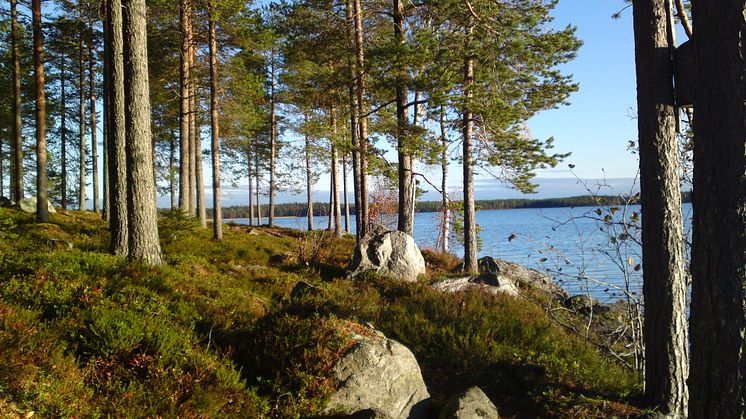 Pressinbjudan - natur, djur och hälsa 