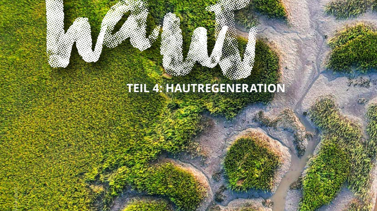 Ich fühle mich wohl in meiner Haut Teil 4: die Hautregeneration