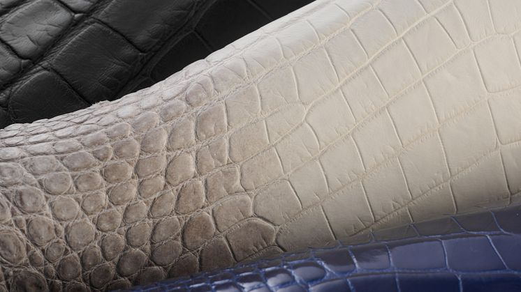 Alligator-crocodile leather.jpg