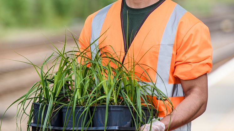 Great Northern and charity Groundwork team up at Alexandra Palace