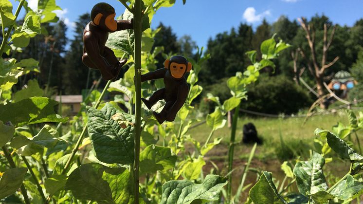 Am 11. und 12. Juli 2020 laden PLAYMOBIL und der Serengeti-Park Hodenhagen zu den Kindertagen ein