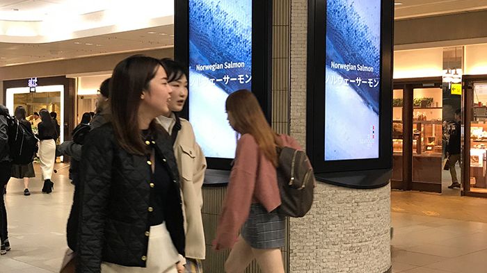 Laksekampanje Japan