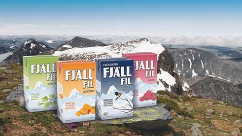 ​Filprovning på 2 106 meters höjd – Kebnekaises topp