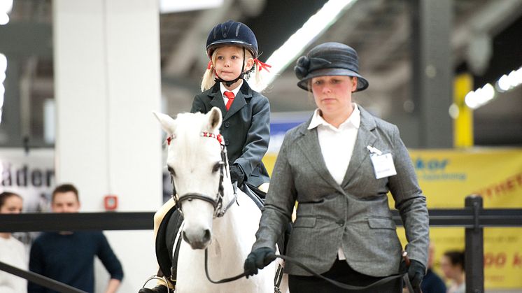 EuroHorse 2013