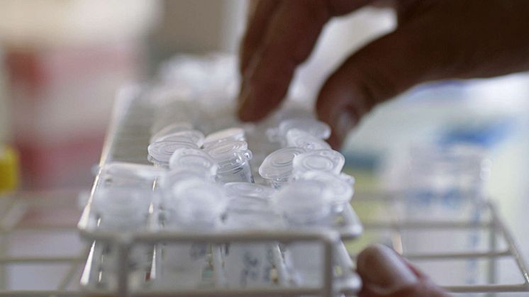 Hos patienter med svår covid-19 överreagerar det medfödda immunsystemet visar nya forskningsresultat