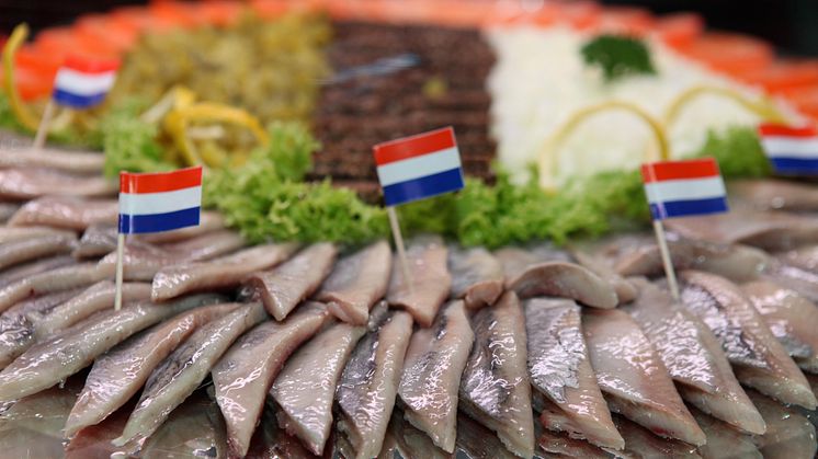Matjessild er populært i Nederland