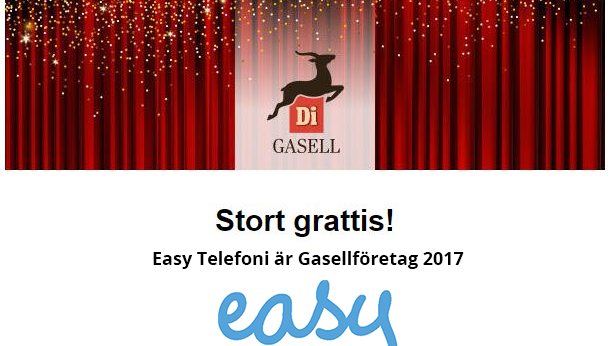 ​Hårt arbete lönar sig, att tilldelas DI Gasell är en riktig fjäder i hatten