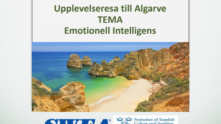 SWEA och Leventa i samarbete