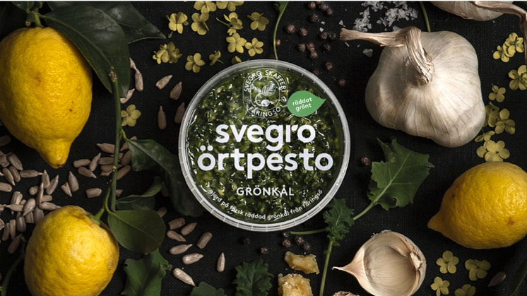 Svegro Örtpesto lanseras i smakerna grönkål, basilika och koriander.