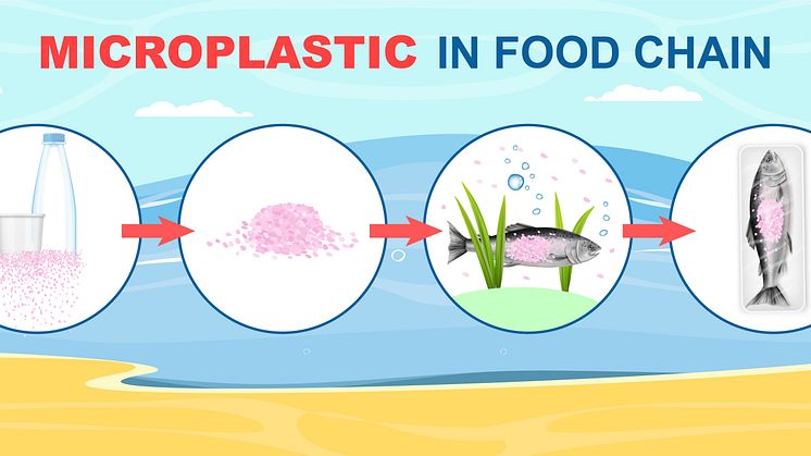 Microplastics are in the water we drink, the food we eat, and the air we breathe, says Bluewater (credit:  Credit/SiberianArt iStock-1312771633)