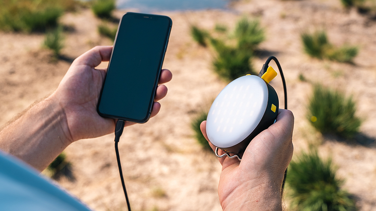 Powerbird_Charging_Mobile