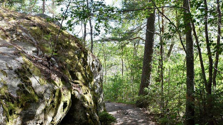 Natur vid Bergsjön i Kårsta
