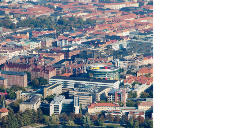 Malmö stads insatser mot antisemitism - med bilaga