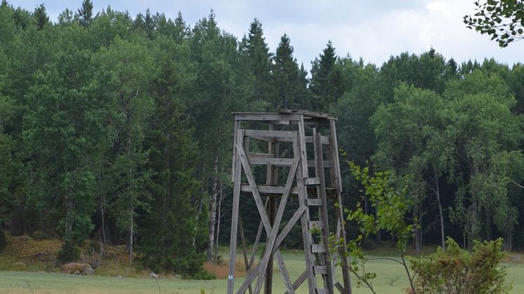 Med en ökad aktivitet från djurrättsaktivister, finns alltid en risk att det torn man planerar att klättra upp i är saboterat. Ta som vana att titta en extra gång innan ni klättrar upp för att undvika obehagliga överaskningar