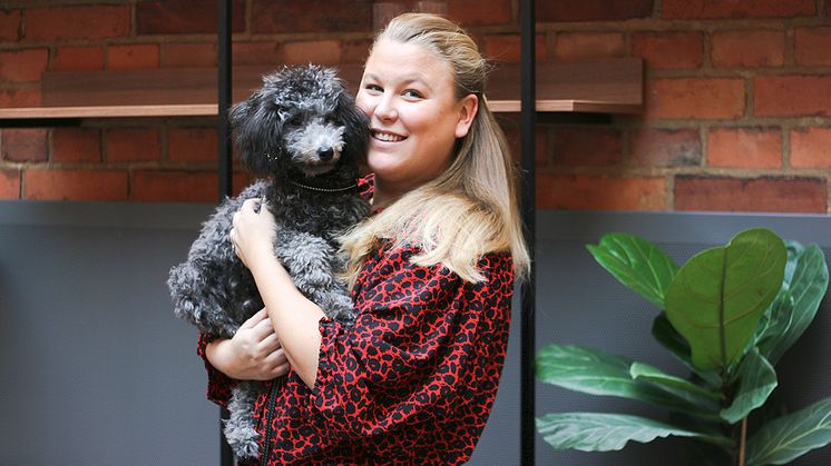 Karolinas hund Otis följer ofta med henne till jobbet där många andra kontorshundar vistas på dagarna.