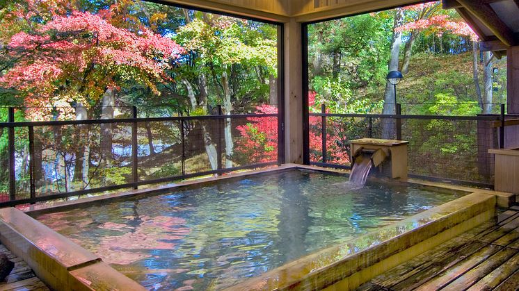 Nikko Hoshinoyado(5)