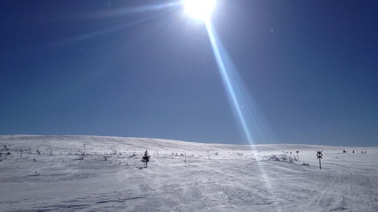 Över 30 lediga drömjobb i Vemdalen!
