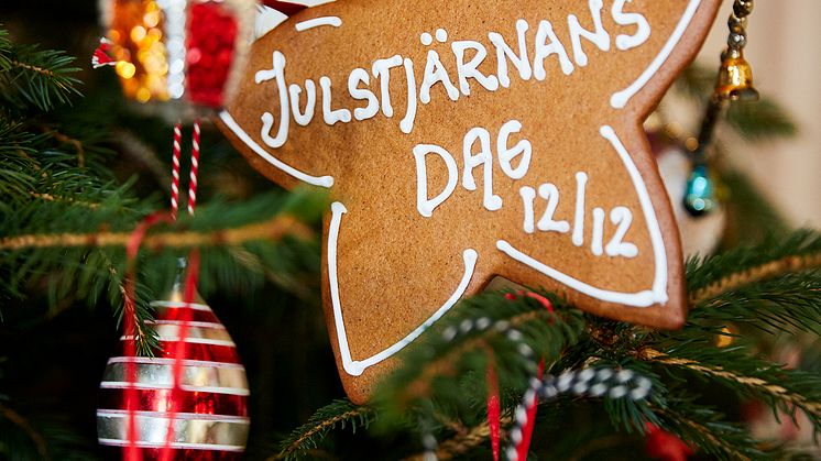 Välkommen att beskåda en makalös installation med julstjärnor 12/12 från klockan 15.00 på Hotel At Six i Stockholm