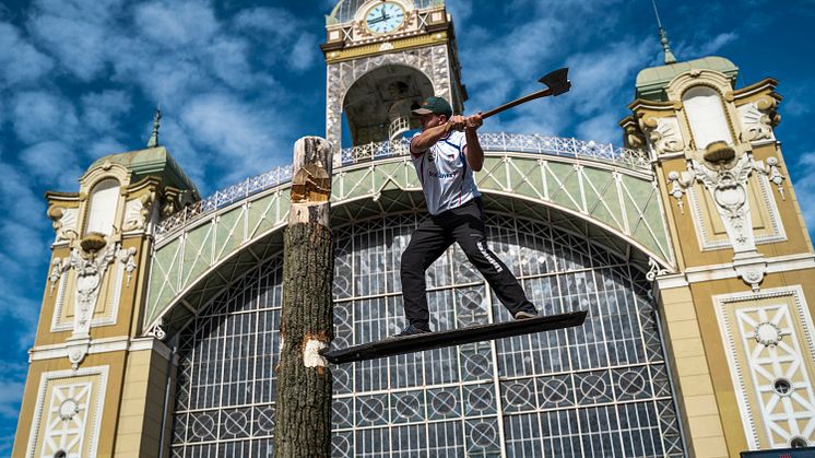Foto: STIHL TIMBERSPORTS®