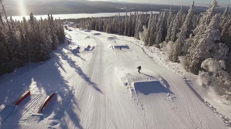 Vinter i Lofsdalen