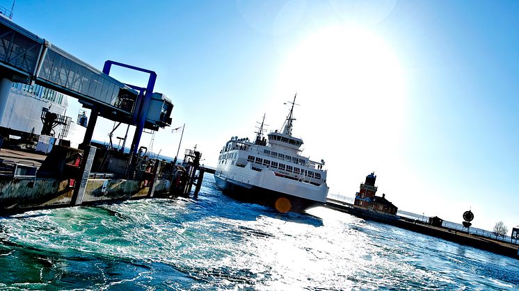 10.000 Rhododendren: Mit Scandlines ins Blütenmeer von Schloss Sofiero