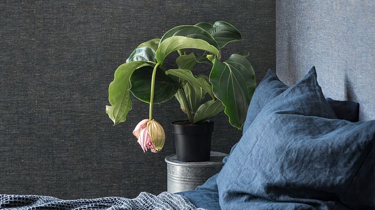 Tapetkollektion Linum