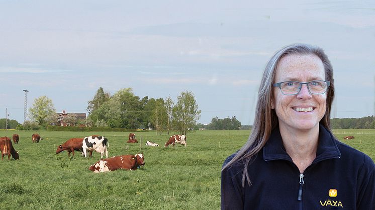 Det är väldigt roligt och hedrande att få detta fina pris, säger Ann-Theres Persson, Årets Rådgivare 2023 