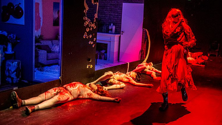 Framsyningsfoto Hedda Gabler