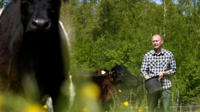 För Sveriges drygt 20 000 hushåll som drev småbruk som enskild firma ökade inkomsten med knappt 3 procent mellan 2019 och 2020. Foto: Johnny Franzén
