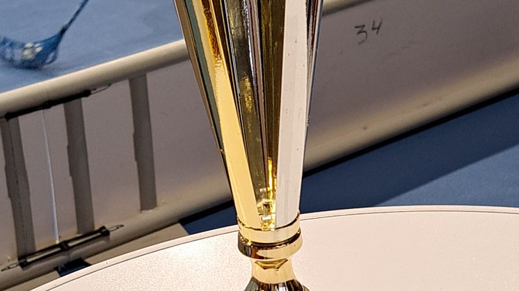 BNI Finland salibandy_pelikuva 