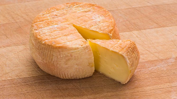 Samtal och möten som för svensk gastronomi framåt