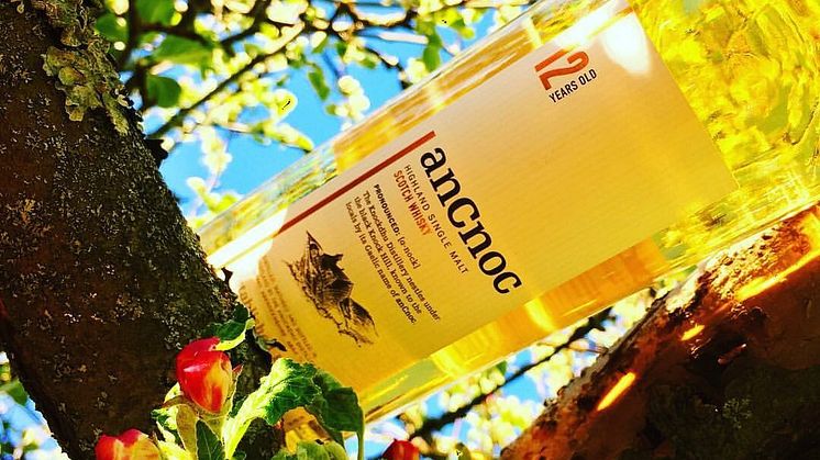 anCnoc 12 år -en whisky för sommaren. Foto: Annelie Huczkowsky från Sinnen och Nyanser.
