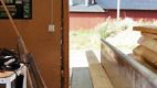 Trädförädling kan minska andelen skevt virke