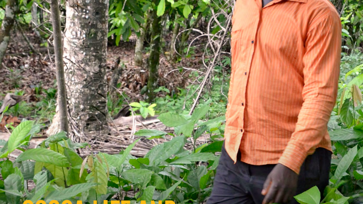 Mondelēz International Advances Forest-Protection Efforts in West Africa