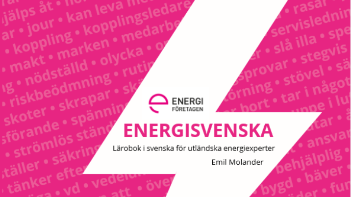 Välkommen på lansering av Energisvenska  – ett läromedel i svenska för utländska energiexperter