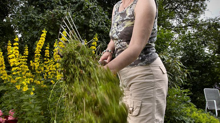 Allergiker, aufgepasst: Auch im heimischen Garten fühlen sich Schimmelpilze wohl. Foto: Benito Barajas/SIGNAL IDUNA