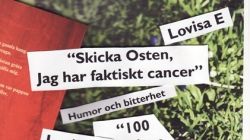 100 SAMLAGS ENSAMHET...
