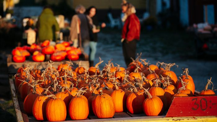 OlandsSkordefest-Pumpor