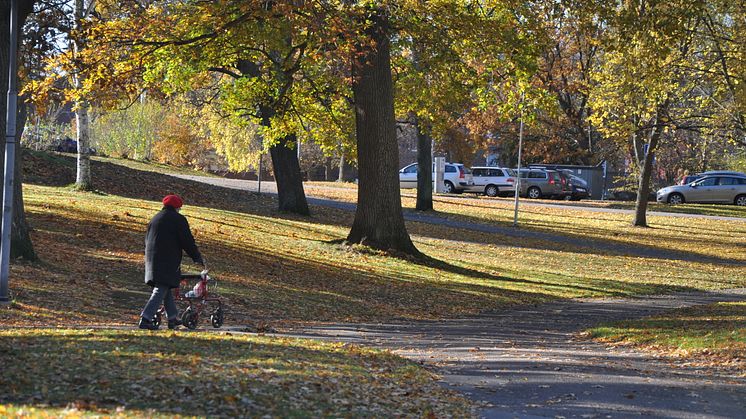 Ny e-tjänst förbättrar rehabenhetens tillgänglighet