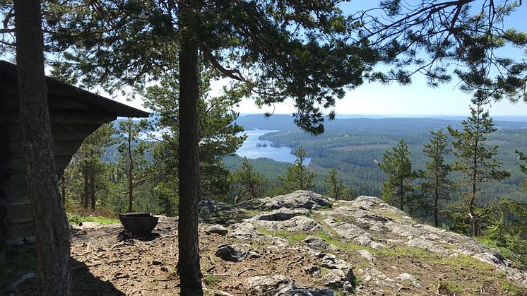 Ärtknubben i Leksands kommun tillhör ett av de nya naturreservaten. Foto: Länsstyrelsen i Dalarnas län