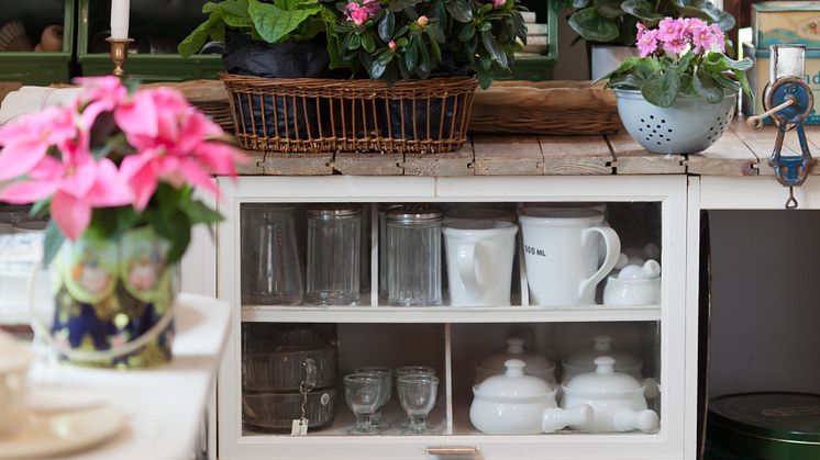 Rosa krukväxter från Mäster Grön