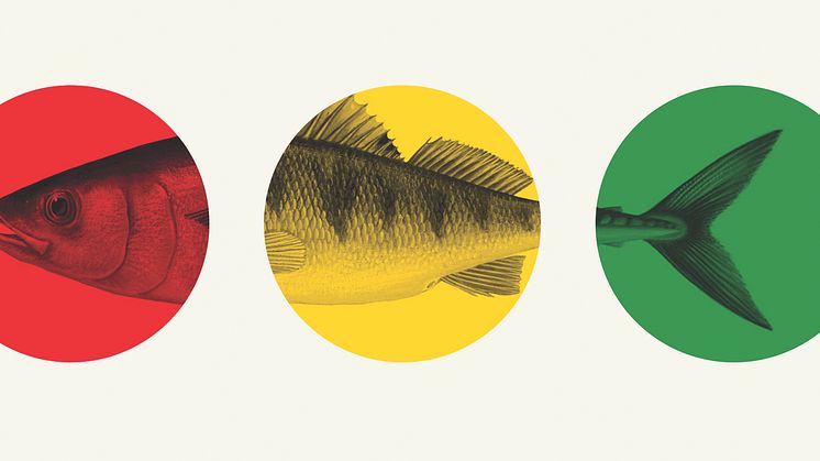 Trafikljuset från Fiskguiden. Foto: WWF