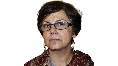 ​Professor at Jönköping University contributes to "Encyclopaedia of Language and Education"