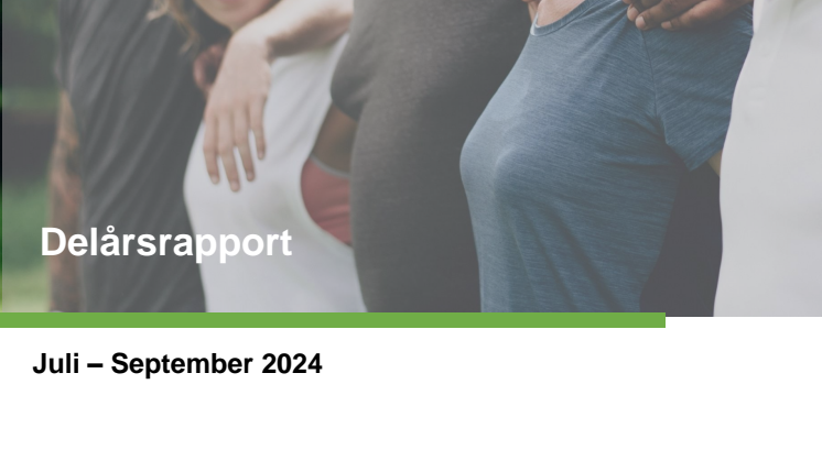 Delårsrapport Q3 2024.pdf